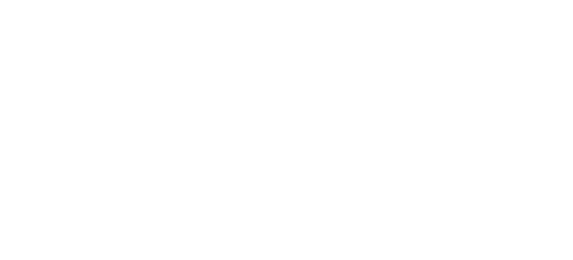Lane8 Consulting logo
